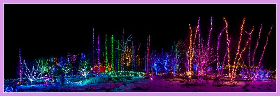 Holiday light displays glowing along a garden path at Gardens Aglow, Coastal Maine Botanical Gardens, near Boothbay Harbor