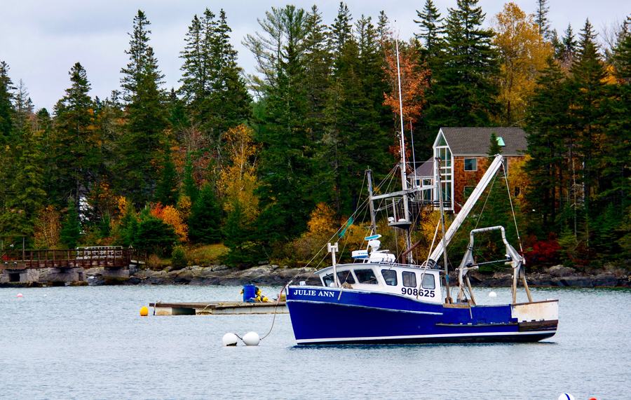 Fall foliage in red and gold along the shoreline of Boothbay Harbor, Maine, with boats on the water