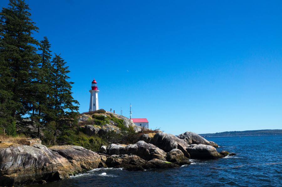 Wooded shoreline trail opening onto a quiet tidal cove on the Boothbay peninsula in Maine
