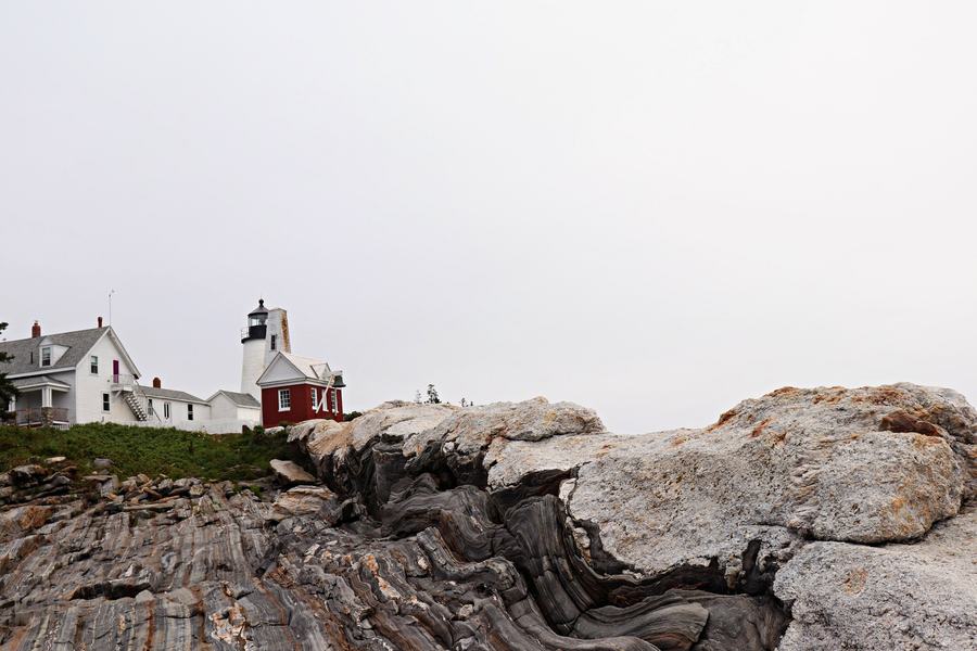 Coastal road winding through pines toward the waterfront at Boothbay Harbor, Maine