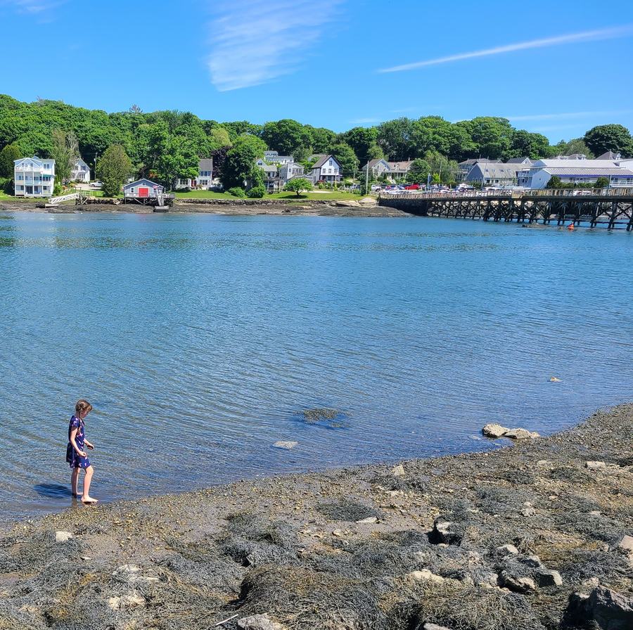 Boats moored in Boothbay Harbor, Maine, seen from the waterfront on a clear day
